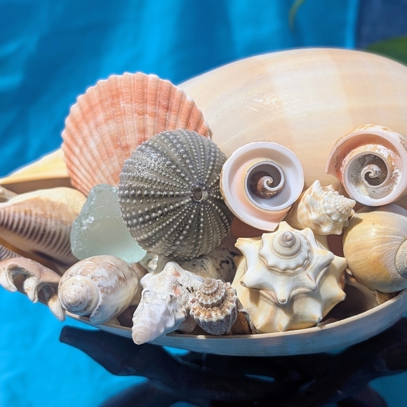 Decorative SeaScape on Wooden Stand - Picture 2 of 7